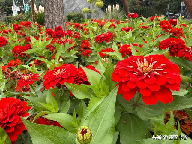 皇城根遗址公园游览指南