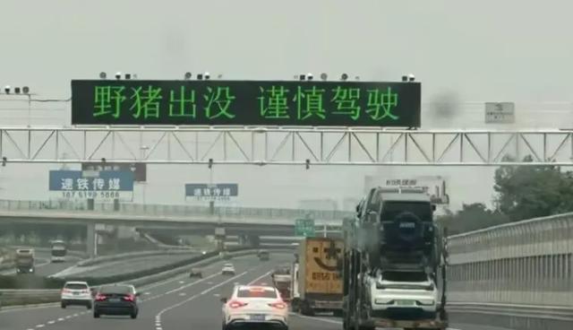 远离禽兽