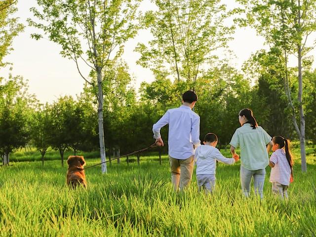 #感谢父母对我们无私的奉献#