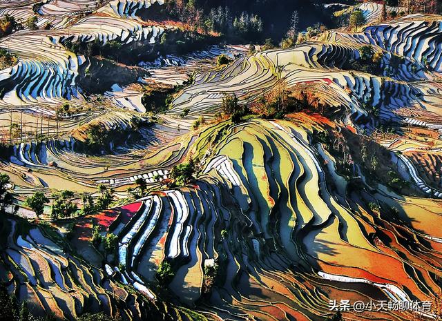 世界上只有云南省才有的全球独一无二的五大奇景