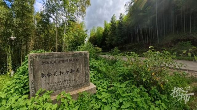 唐朝那条道