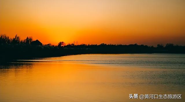 【黄河口生态旅游区】开学季 奔赴自然之美