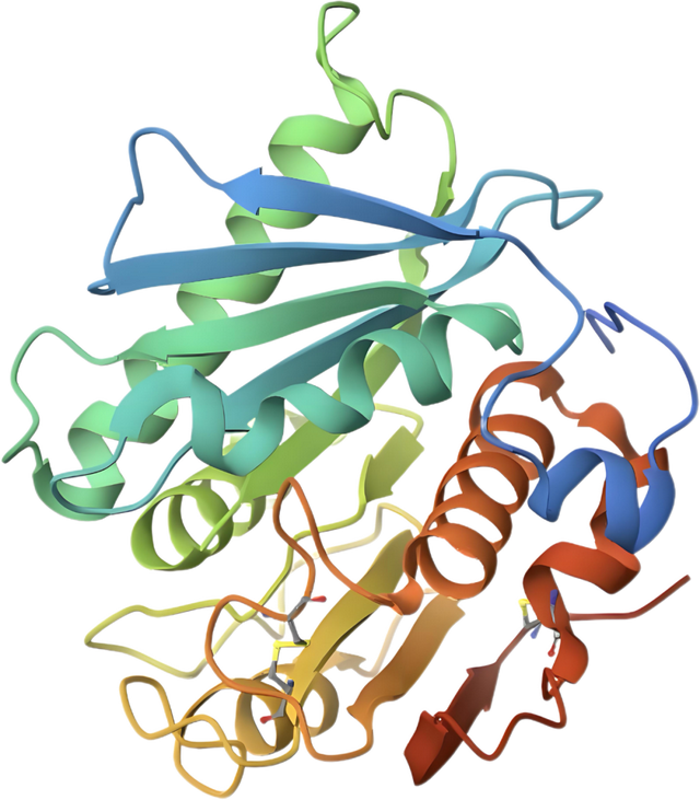酶活性提升2000倍，生物酶法技术领衔纺织循环经济3.0时代！