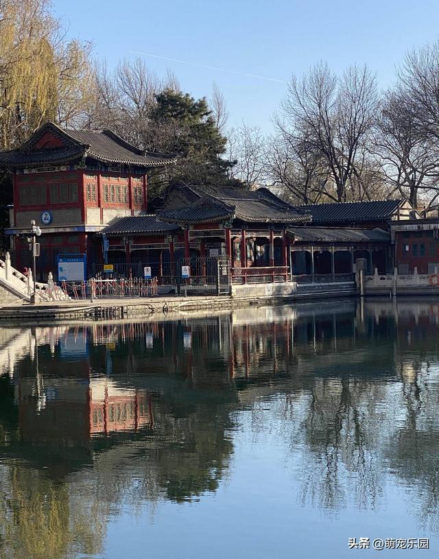 紫竹院冬日偶遇退休教授，一句话让我明白生活9个层次