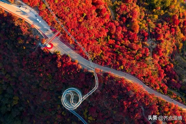 最佳赏红期已至——红叶柿岩开启“全红模式”！