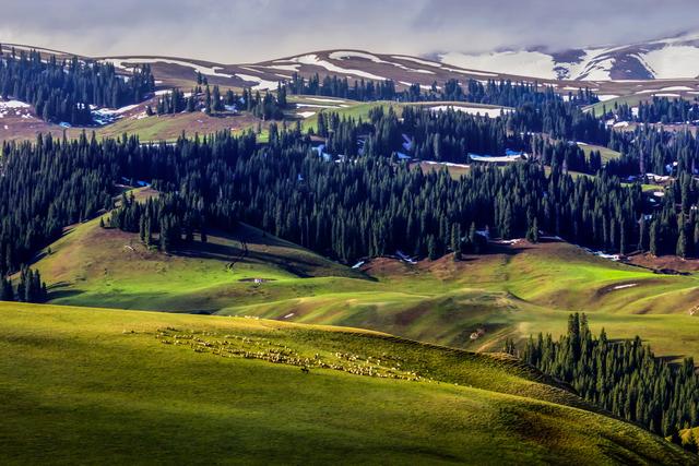 “魅力伊宁·和美杏乡”2025伊宁县文旅推介会在成都成功举办