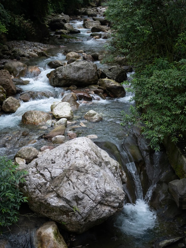 私藏分享||成都1.5h清凉不晒宝藏地，耍水徒步，人少水清！