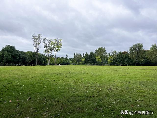 成都公园难得一见的旷野之景，画面超级唯美，地铁公交到达！