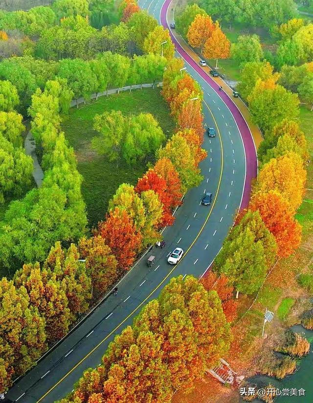 石家庄滹沱河开挂了！初冬美成油画，拍照还不要钱！