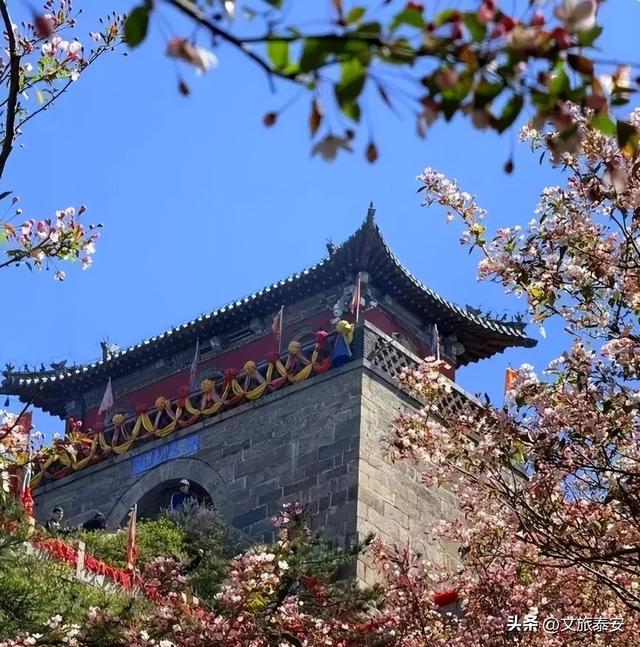 泰山国际登山节启幕在即！三条宝藏路线带你玩遍泰安山水人文～