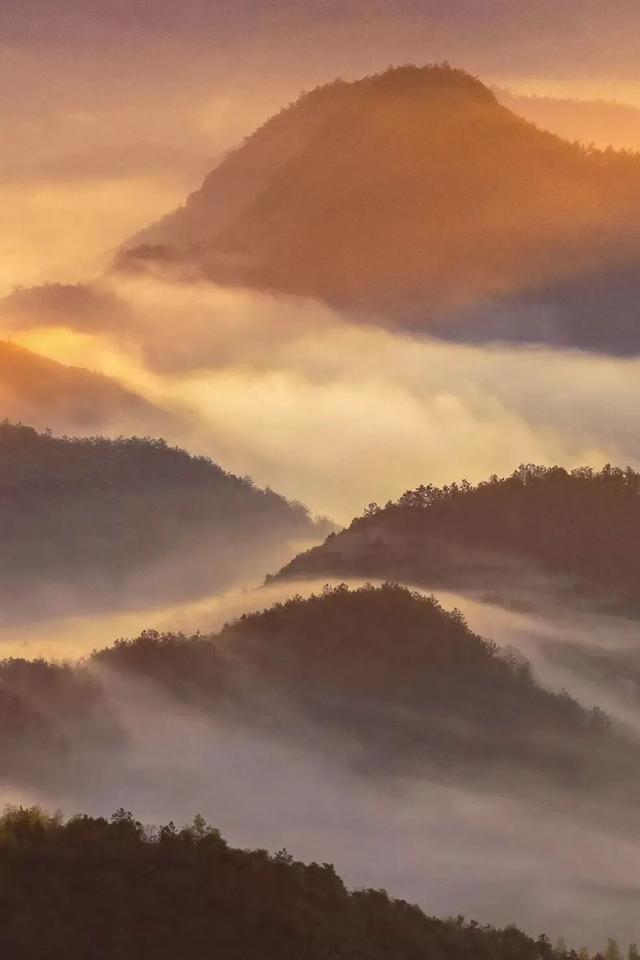 这条高铁火了！据说能“邂逅”李白和杜甫！