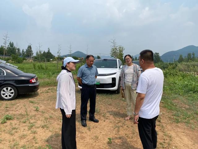 【工作动态】区文旅局2025年8月4日工作简报
