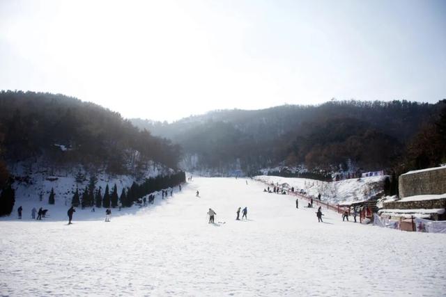 雪雪雪雪！烟台高热玩法攻略来了！