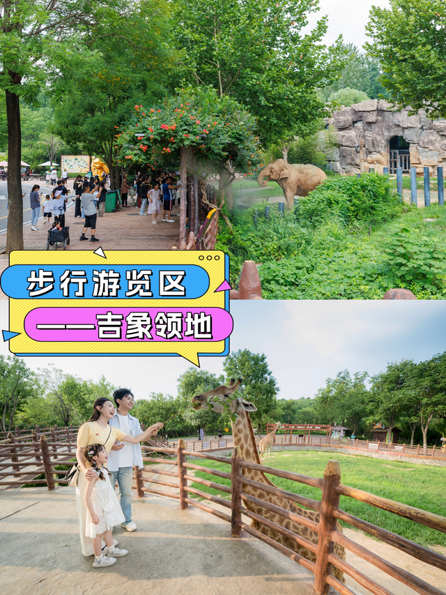 济野大放价！9月去太划算了，打卡攻略让你不错过每一处精彩！