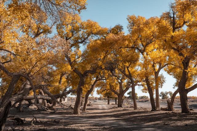 中国10个“治愈系”秘境，去过3个不简单，全去过的寥寥无几