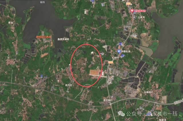 大手笔！武汉将再添一座世界级规划！