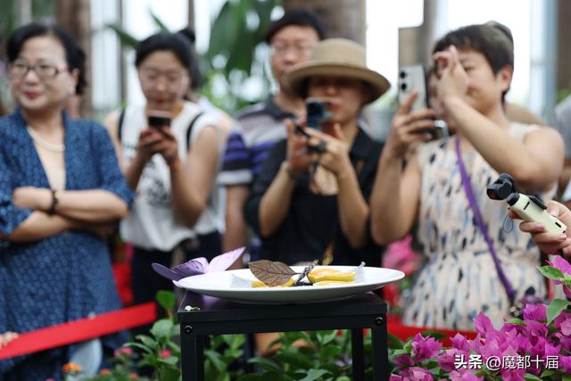 黄金周限定千蝶齐飞，上海世博文化公园“璀璨之秋”
