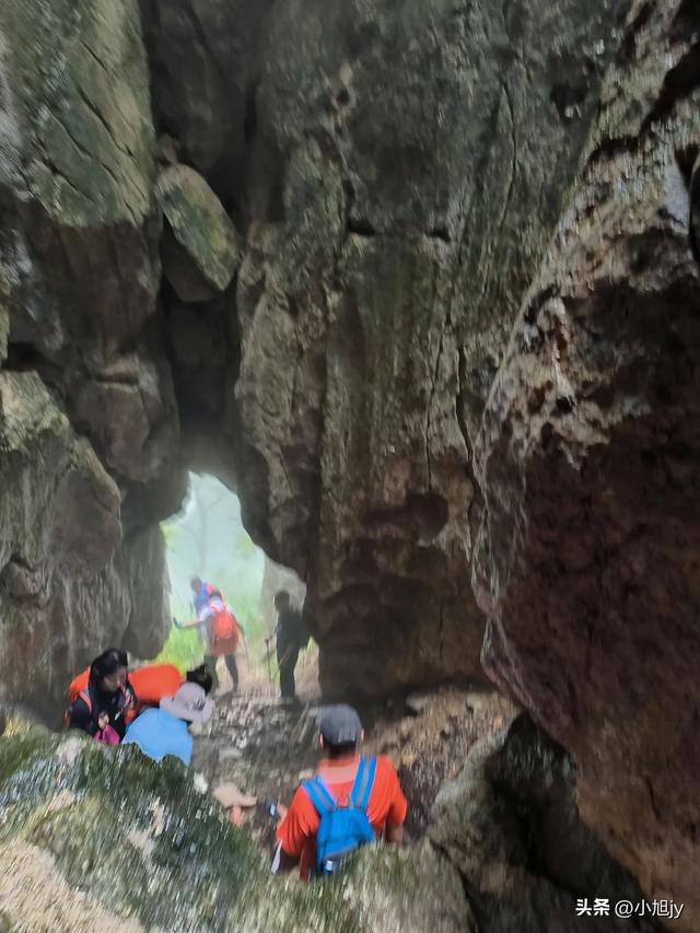 来呀，去白云山看金莲花，辽阳县大黑山风景区境内的白云山