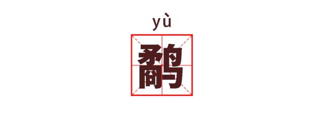 湖北公安 |【万里长江湖北行】鹳䴙䴘鸻鹈鹕鳽鹬鹛鹀䴓鹎，到底怎么读？