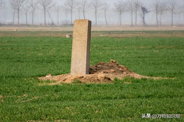 墓碑上的“考、妣、故、先、显”，分别是什么含义？用错会闹笑话