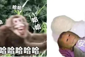 晚报推荐丨评论区刷屏的"子涵"是什么梗；真的有人会被笑死吗？图片