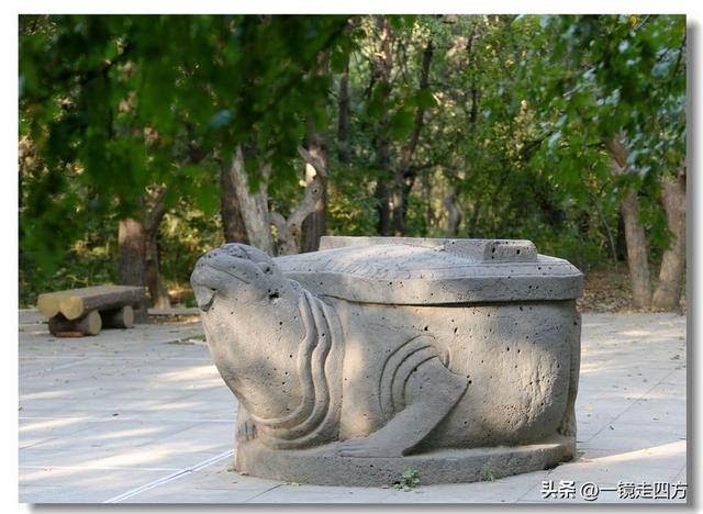 沈阳东陵郊野公园“精灵”出没