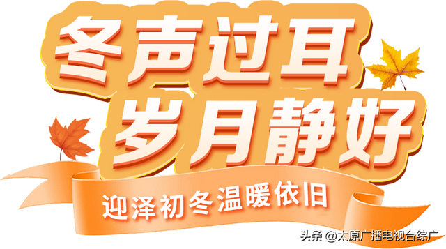 府城漫步丨迎泽初冬，温暖依旧