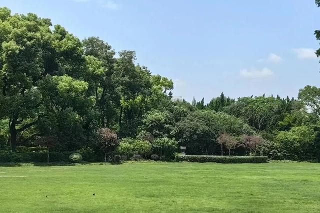 上海解锁“千园之城”,遛娃拍照吸氧圣地,哪个是你最爱?