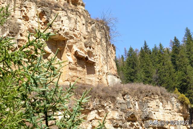 山西宁武石门悬棺：万仞崖龛藏古柩、千年石棺映翠岚