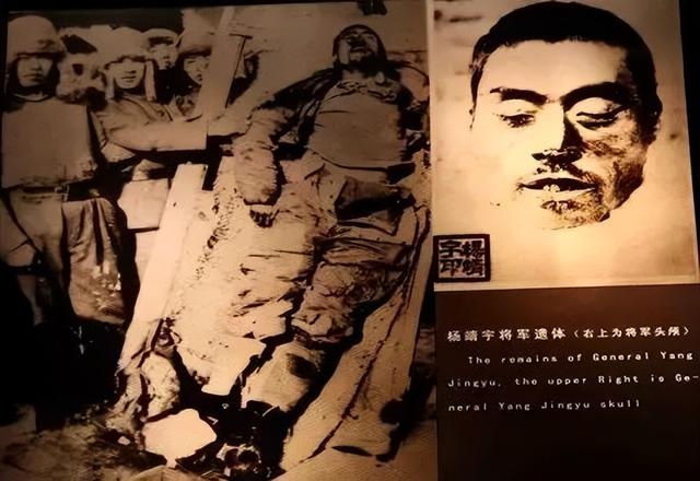 杨靖宇后人现状：妻被日军迫害致死，儿37岁因公殉职，留下5子女