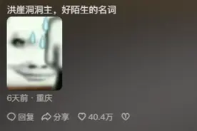 涨知识了，原来洪崖洞是私人的，“洪崖洞洞主”真的好小众又陌生图片