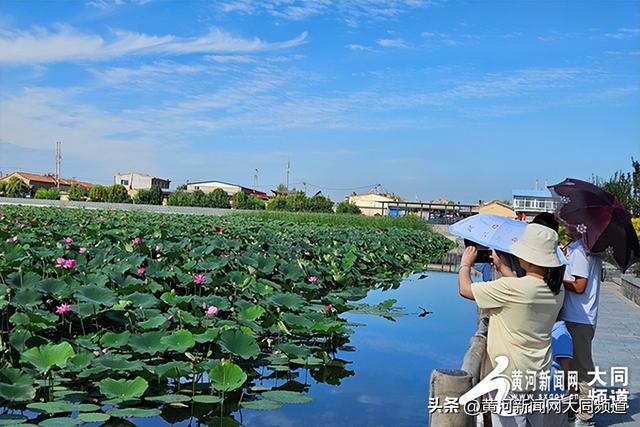 浑源县：山西神溪国家湿地公园的“荷”美答卷