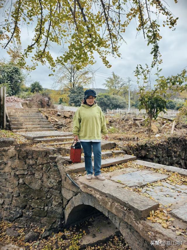 游长岗岭古村，观飘黄银杏