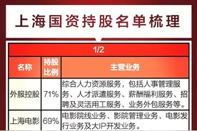 上海国企改革10大龙头股盘点，国企改革+地名概念集合整理！图片