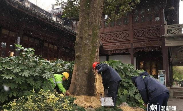 全网疯狂转发！西湖再现“断桥残雪”千年难遇奇景，网友：太美了