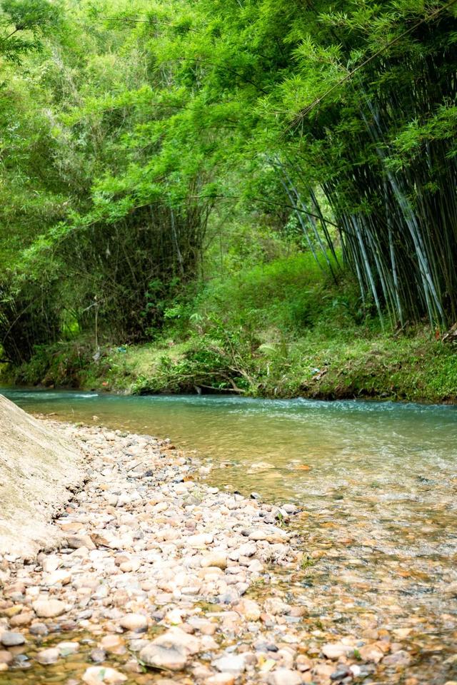 免费！超级推荐！肇庆夏日清凉绝佳地，在这里→