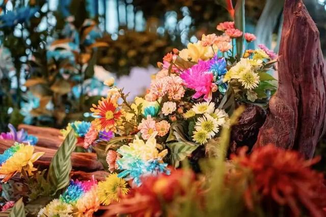 开封“暖冬三件套”，你GET了吗？