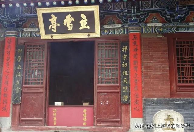 二探少林寺：新方丈上任后的变革与坚守