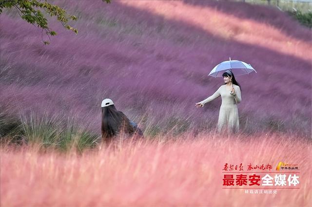 邂逅粉色花海，秋日限定浪漫“上新”