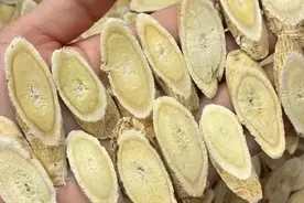 孩子近视调理，黄芪不可缺少，补气升阳、健脾养血、养肝明目图片