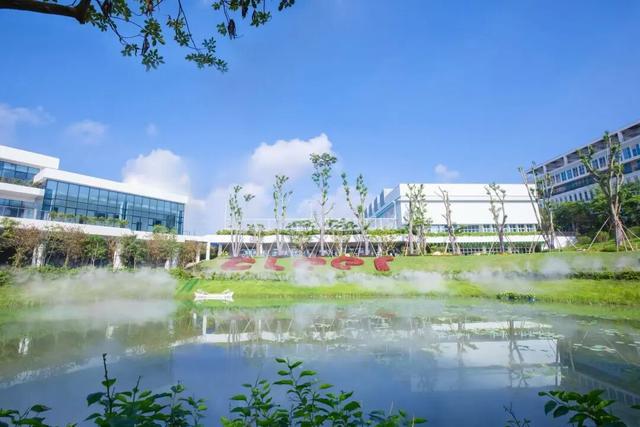 百千万工程“花”样答卷！德庆冠旭电子产业园惊现格桑花海，一起来打卡工业风浪漫吧~