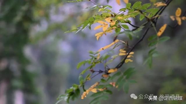 漳县秋日旅行日记来咯！