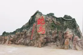 大连蛇岛上有上千条毒蛇，如果放两只蜜獾进去，谁能活到最后？图片