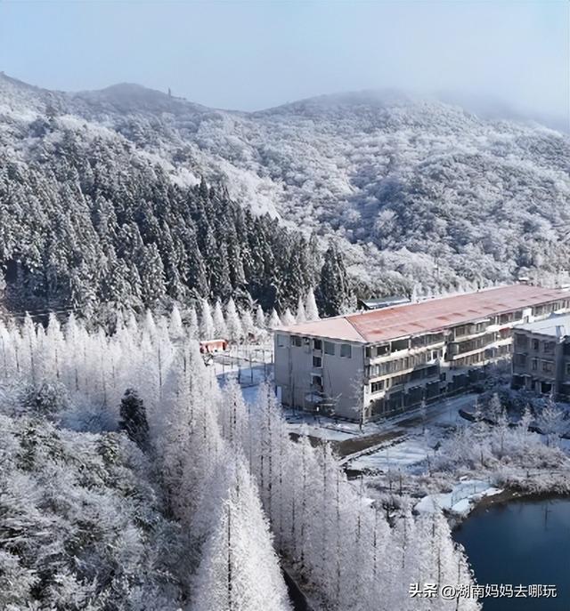 2H直达长沙周边的“长白雪山”！带娃登高赏雾凇超欢乐