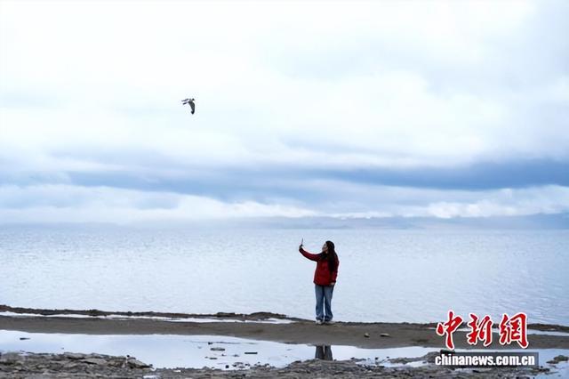 （辉煌60载 魅力新西藏）西藏阿里：游客尽享玛旁雍错、拉昂错夏日风光