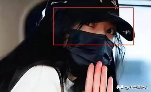 落地凤凰不如鸡！赵薇回老家探亲，全副武装包裹，不敢露脸怕见人