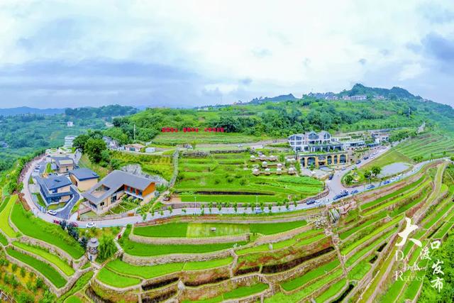 重阳去哪玩?收好大渡口份赏秋打卡好去处