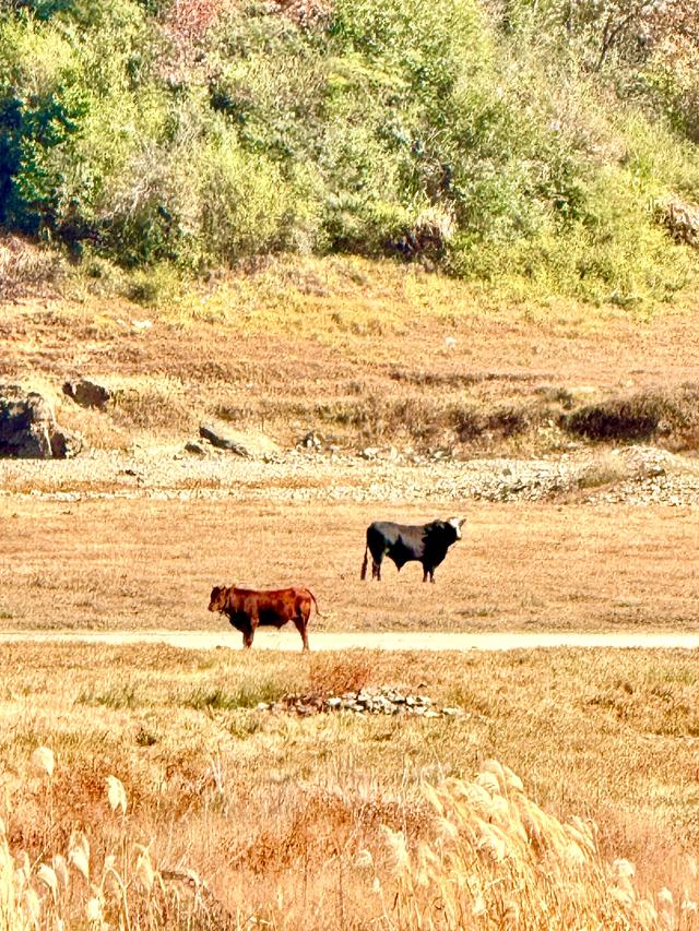 婺里古乡（上饶市婺源县）