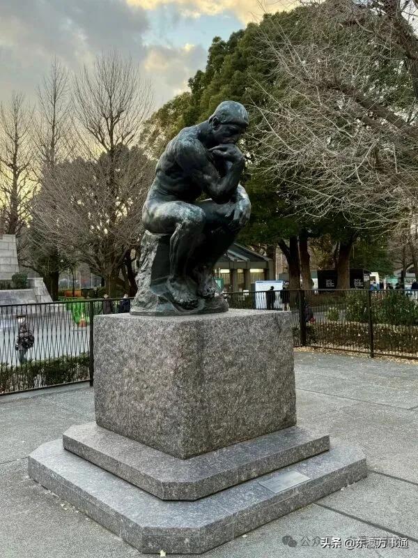 傅滔滔：今天，我走进了上野公园