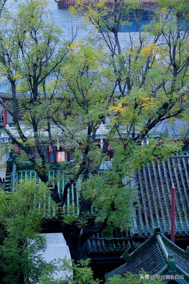 邢台火神庙：邂逅一场千年之约的绝美秋色（图/原创）